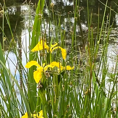 Vakantiehuis Les Rives Du Lay Rochejaquelein Le Boupère
