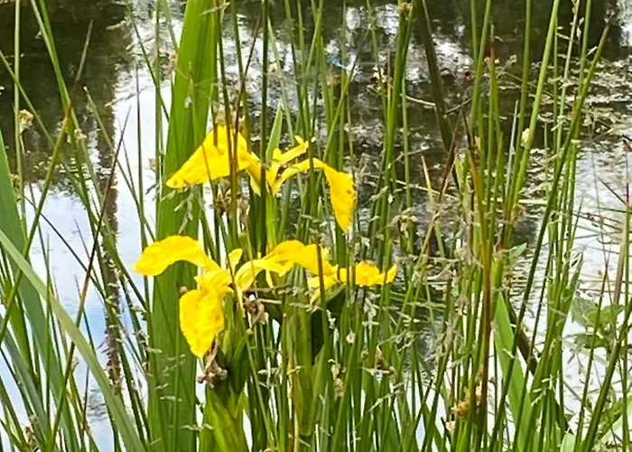 بيت للعطل Les Rives Du Lay Rochejaquelein Le Boupère