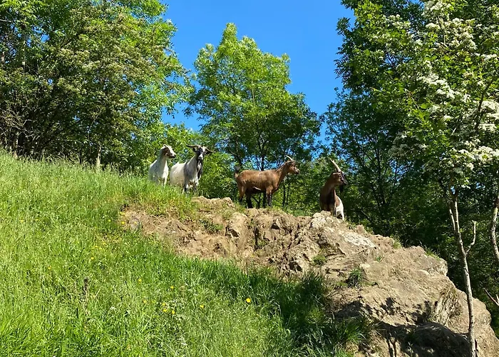 بيت للعطل Les Rives Du Lay Rochejaquelein