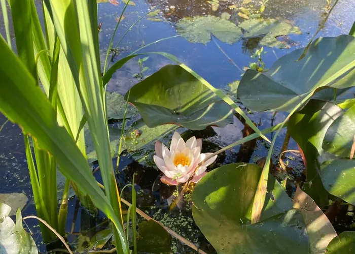 بيت للعطل Les Rives Du Lay Rochejaquelein *