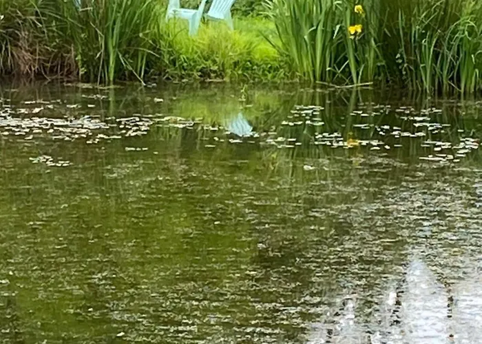 Les Rives Du Lay Rochejaquelein بيت للعطل Le Boupère